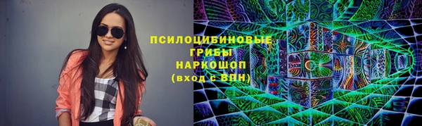 apvp Аркадак